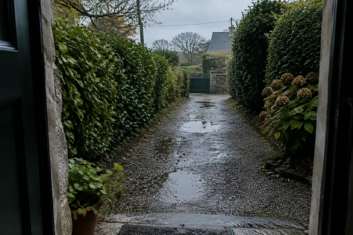 Chemin de gravier mouillé vu du pas d'une porte, avec des flaques et des haies de chaque côté